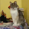 Отзыв от Анна Озерова